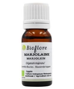 Marjolaine (Origanum majorana)